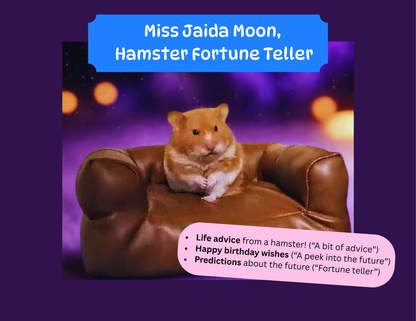 Hamster on a small brown couch with text about 'Miss Jaida Moon, Hamster Fortune Teller' on a purple background.
